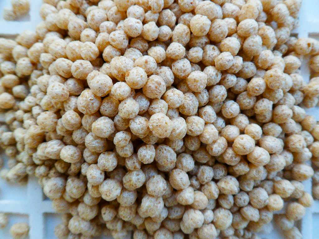 Prelucrarea materiilor prime pentru cereale, tărâțe de grâu, făină de tărâțe de secară Polonia